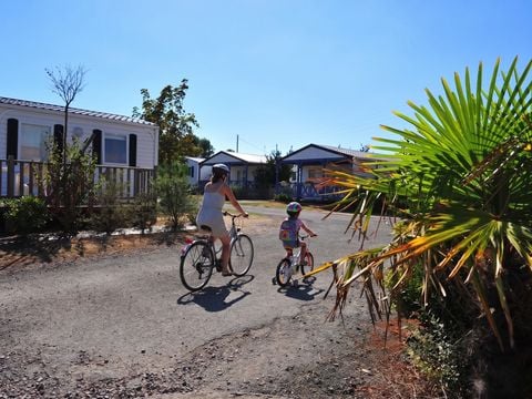 Camping Le Pavillon Bleu  - Camping Vendée - Image N°18