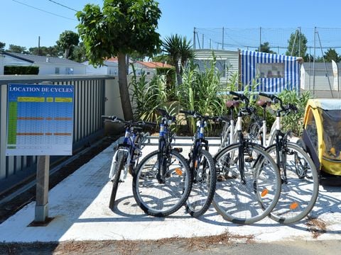 Camping Le Pavillon Bleu  - Camping Vendée