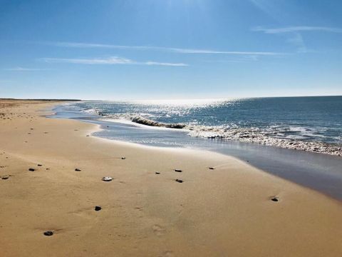 Camping Le Pavillon Bleu  - Camping Vendée - Image N°21