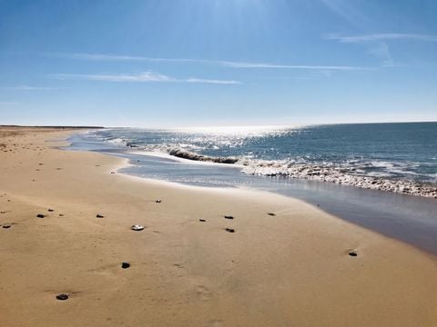 Camping Le Pavillon Bleu  - Camping Vendée - Image N°22