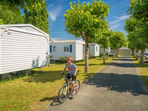 Camping Les Flots Bleus Camping Les Flots Bleus - Camping Vendée - Image N°34