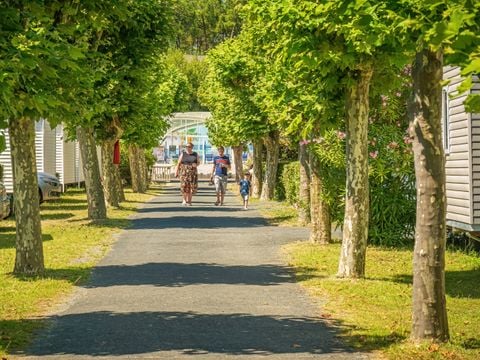 Camping Les Flots Bleus - Camping Vendée - Image N°28
