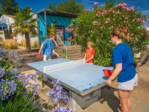 Camping Les Flots Bleus Camping Les Flots Bleus - Camping Vendée - Image N°9