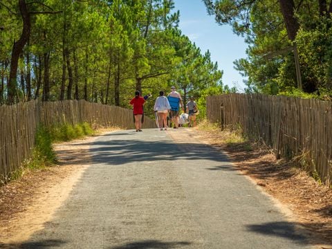 Camping Les Flots Bleus - Camping Vendée - Image N°30
