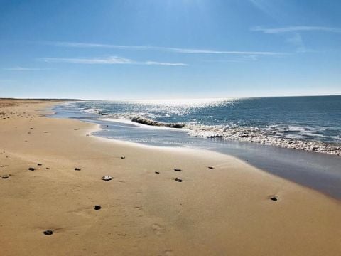 Camping Paradis - Le Grand R  - Camping Vendée - Image N°40