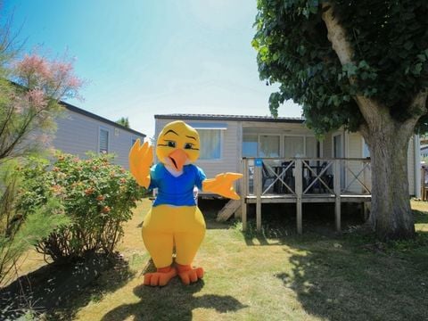 Camping Paradis - Le Grand R  - Camping Vendée - Image N°28
