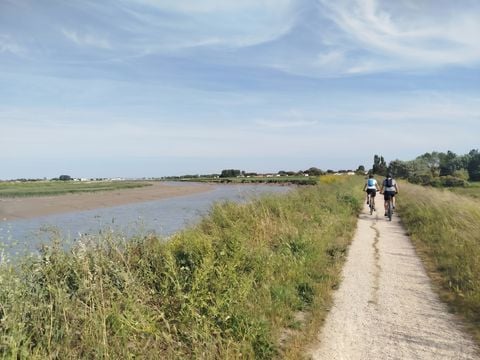 Camping Paradis - Le Grand R  - Camping Vendée - Image N°33