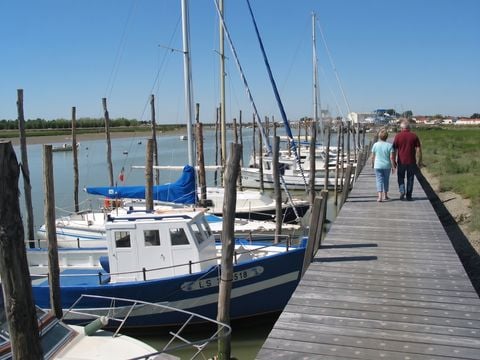 Camping Paradis - Le Grand R  - Camping Vendée - Image N°39