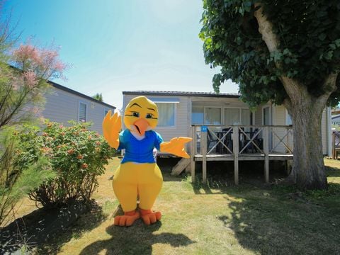 Camping Paradis - Le Grand R  - Camping Vendée - Image N°32