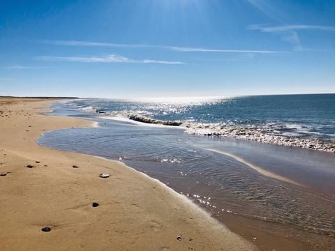 Camping Paradis - Le Grand R  - Camping Vendée - Image N°40
