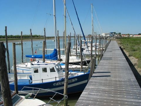 Camping Paradis - Le Grand R  - Camping Vendée - Image N°44