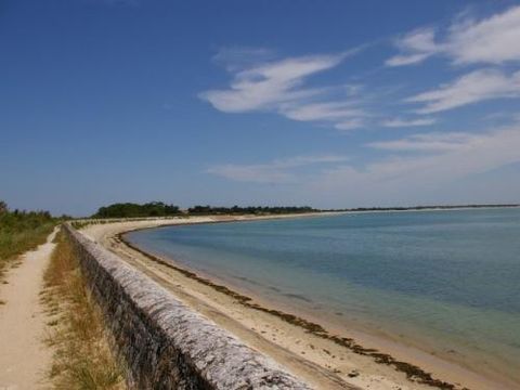 Flower Camping Le Bel Air - Camping Charente-Maritime - Image N°26