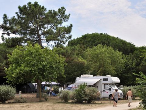 Flower Camping Le Bel Air - Camping Charente-Maritime - Image N°28