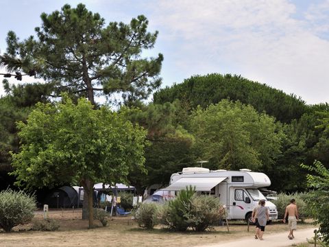 Flower Camping Le Bel Air - Camping Charente-Maritime - Image N°40