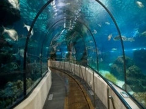 Flower Camping Le Bel Air - Camping Charente-Maritime - Image N°21