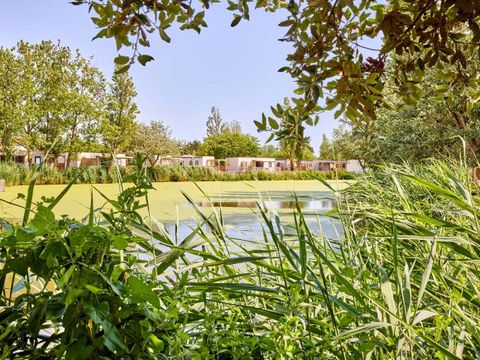 Camping du Jard  - Camping Vendée - Image N°22