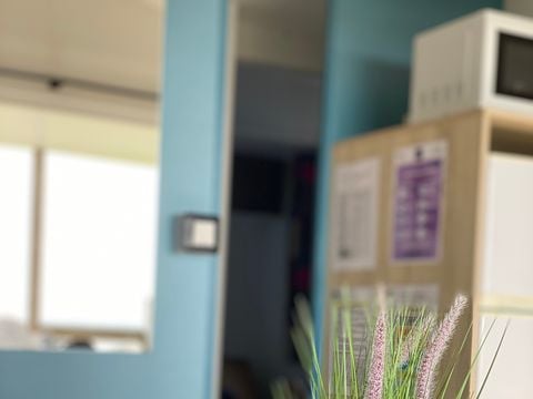 MOBILHOME 4 personnes - Le Vue Mer Basique