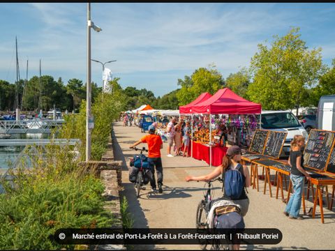 Camping du Manoir de Penn Ar Ster - Camping Finistère - Image N°24