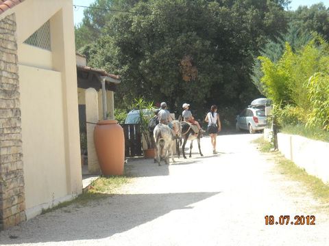 Camping Mille Etoiles - Camping Ardeche - Image N°45