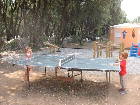 Camping Mille Etoiles - Camping Ardeche - Image N°6