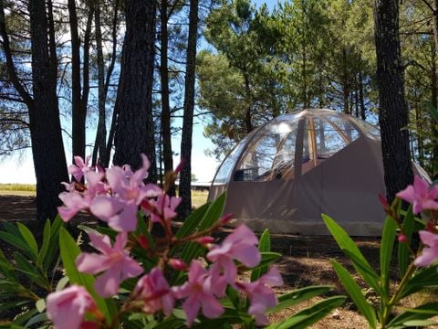 Camping Hello Soleil - Camping Ardeche - Image N°8