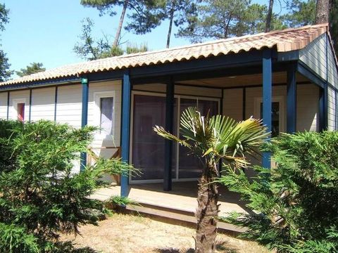 Camping Estanquet - Camping Charente-Maritime - Image N°25