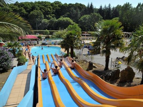 Camping Paradis - Domaine de Bel Air - Camping Finistere - Image N°61