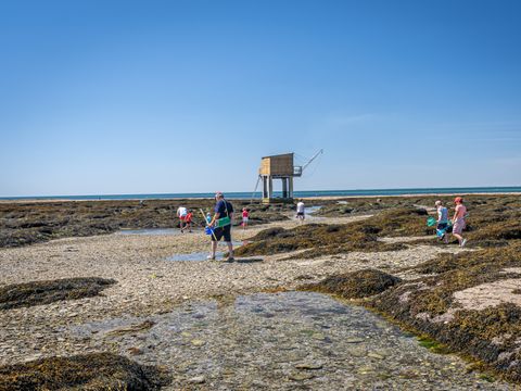 Flower Camping La Guichardière - Camping Loire-Atlantique - Image N°38