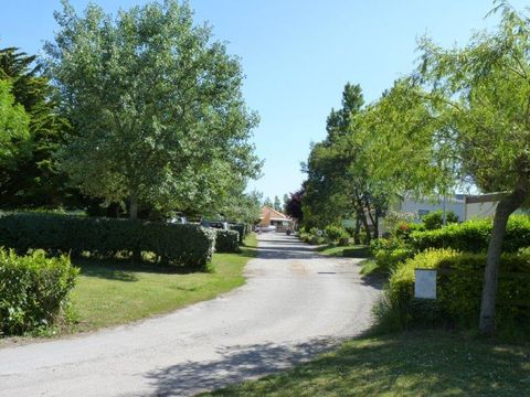 Emplacement - Forfait Nature (1 tente, caravane ou camping-car / 1 véhicule)