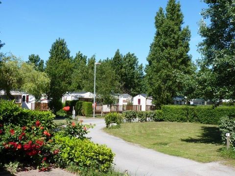 Emplacement - Forfait Nature (1 tente, caravane ou camping-car / 1 véhicule)