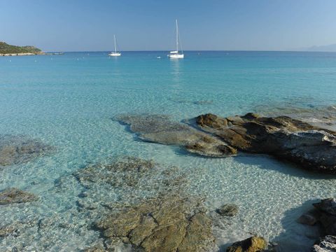 Camping La Tour de France - Camping Pyrénées-Orientales - Image N°45