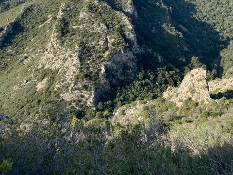 Camping La Tour de France - Camping Pyrénées-Orientales - Image N°48