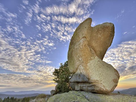 Camping La Tour de France - Camping Pyrénées-Orientales - Image N°51