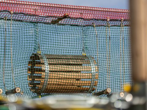 Camping La Tour de France - Camping Pyrénées-Orientales - Image N°63