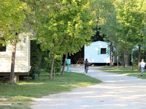 Flower Camping Le Dolium - Camping Gard - Image N°26