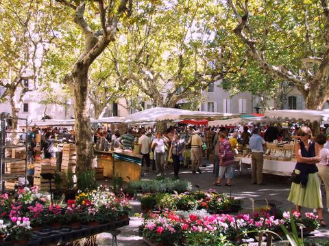 Flower Camping Le Dolium - Camping Gard - Image N°16