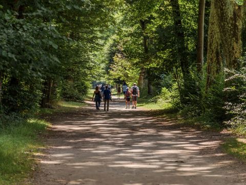 Camping Le Champ Long - Camping Isère - Image N°19