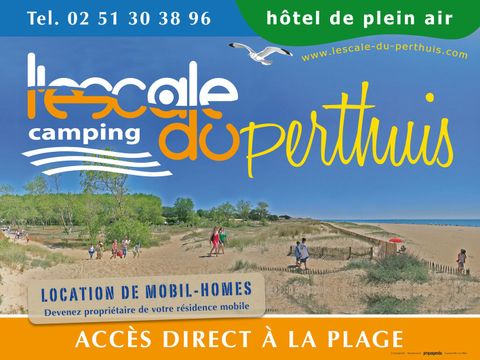 Camping Escale du Perthuis - Camping Vendée - Image N°36