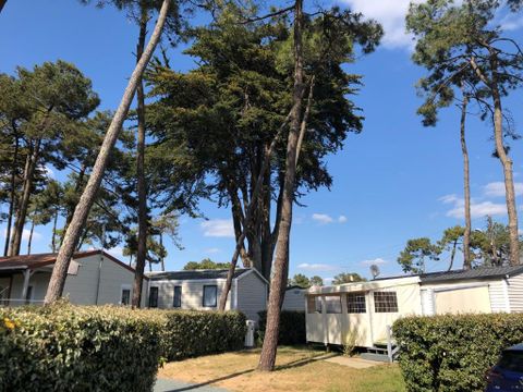 Camping Les Préveils - Camping Vendée - Image N°58