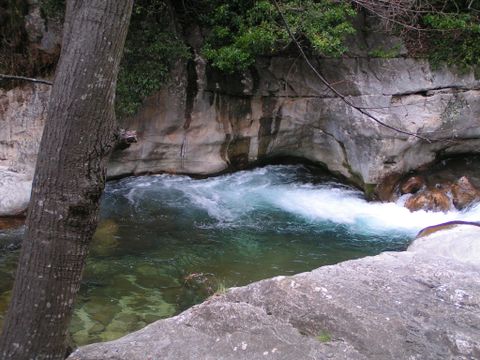 Camping Les Gorges du Loup - Camping Alpes-Maritimes - Image N°15