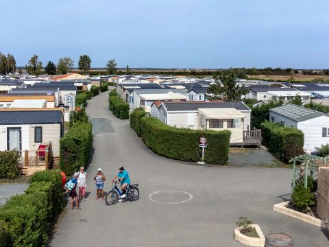 Camping Paradis Les Jonquilles - Camping Vendée - Image N°9