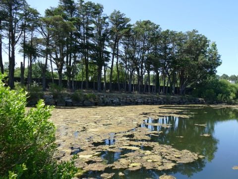 Camping Plijadur - Camping Morbihan - Image N°53