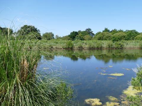 Camping Plijadur - Camping Morbihan - Image N°55