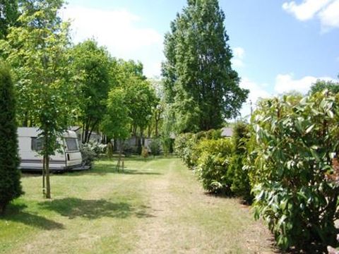 Camping Les Acacias - Camping Indre-et-Loire - Image N°8