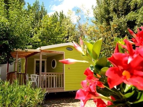 MOBILHOME 4 personnes - 2 chambres