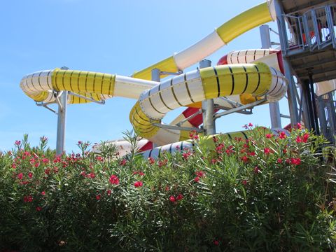 Camping l'Oasis Palavasienne - Camping Paradis  - Camping Herault