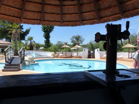 Camping Le Camarguais - Camping Hérault - Image N°2