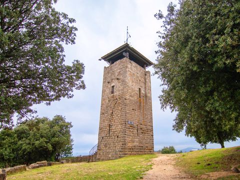Flower Camping Saint Amand - Camping Ardèche - Image N°24