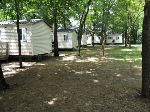 Camping les Rives d'Auzon - Camping Ardèche - Image N°36