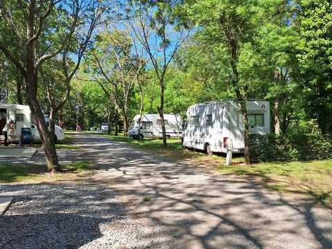 Camping les Rives d'Auzon - Camping Ardèche - Image N°38